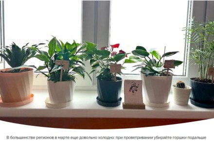 ������ ���������: ������� ���� �� ������ � 16 �� 22 �����