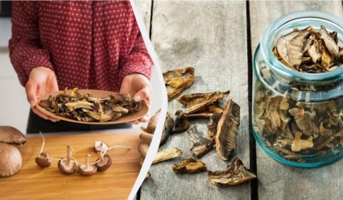 ��� ������ ����������� ������� �����: �������, ������� ��� ����������