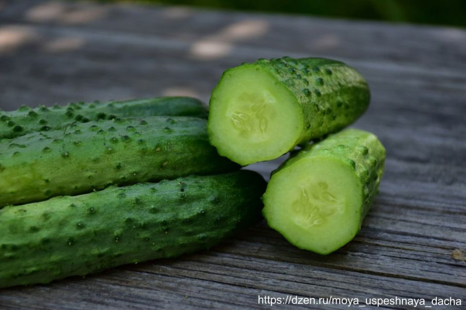 ������ ������ ����� ����� ���������� ������� ������� �������