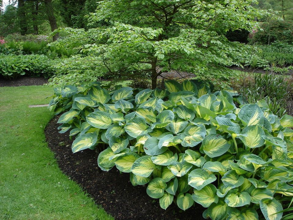 ����� ����� �� �������