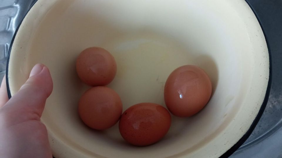 ����������� ����� ��� ������ ����: 10 �������� �� ������� ����������