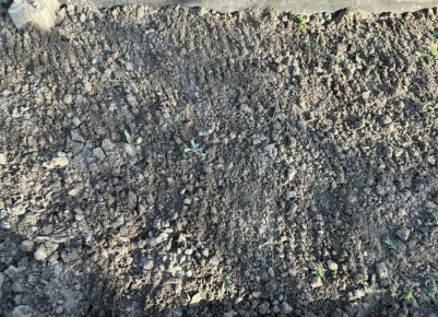 ������������ �������� ����: ��� �������� ���������� � � ������ ��� ��������