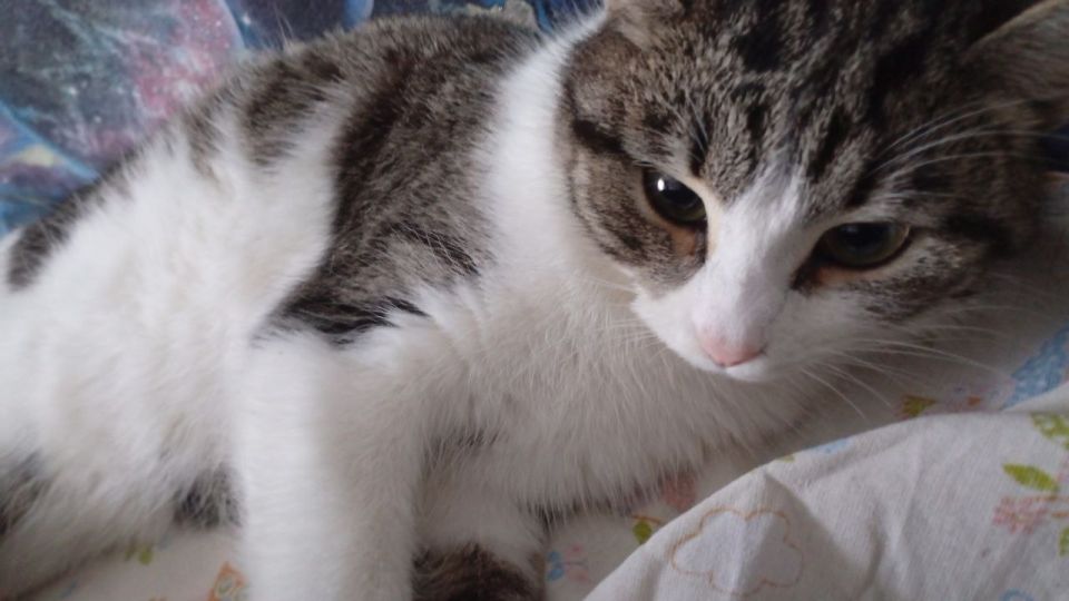 � ������ �� ������. 13 ������� � ��������� ������������ �������� � ������������ ������, ��� ������������ �������