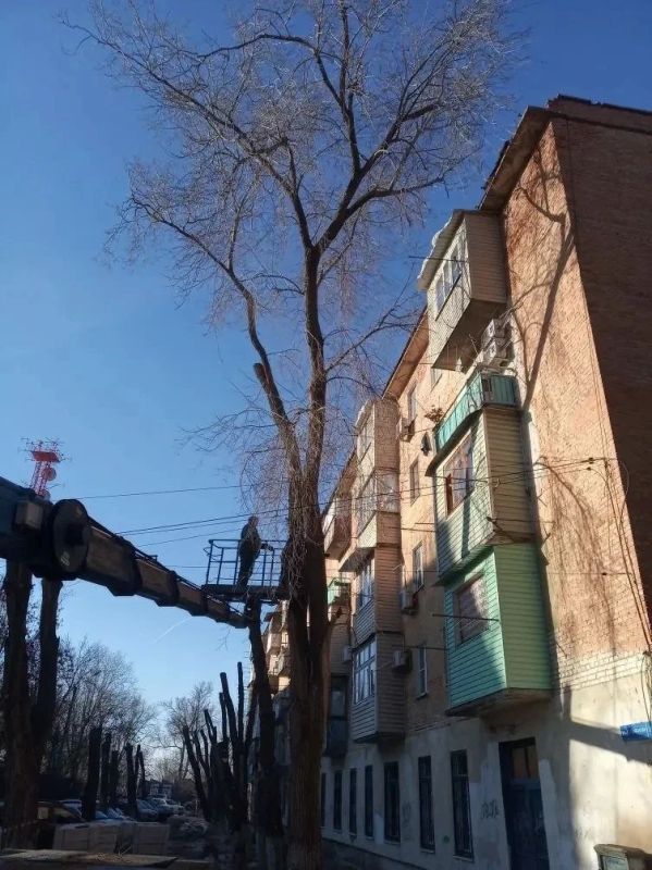 �� ���� ����������� ������ ����������� � ��� ������� ������� ���������� ������� ��������