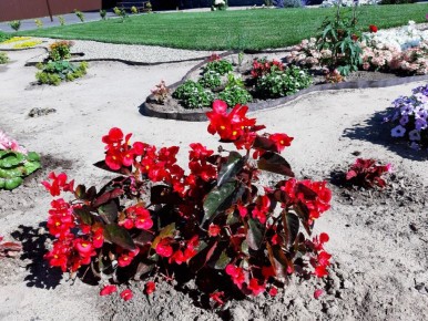 ������� ���: ����� ������ � ��������