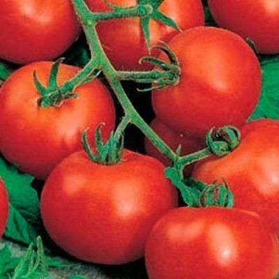 ��� ������ ������ '��������' �������� ������ ���������: ����������� � ������� ������