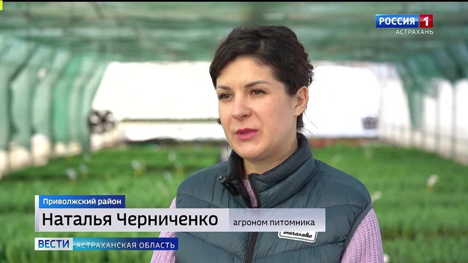 � ��������� ���������� ��������