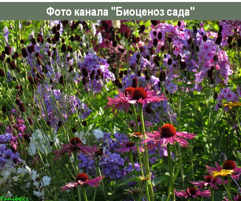 ������� �������: ������� � ����� ���������