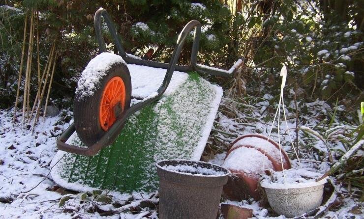 Лунный календарь садовода с 12 по 18 октября 2025 года