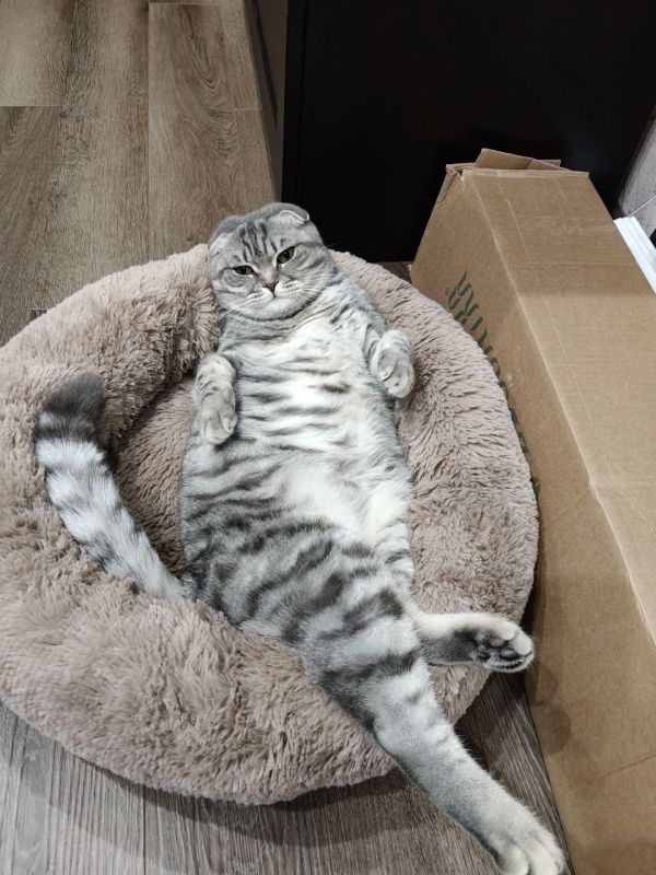 � ������ �� ������. 15 ������� � ��������� ������������ �������� � ������������ ������