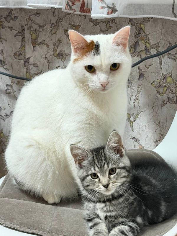 � ������ �� ������. 16 ������� � ��������� ������������ �������� � ������������ ������, ��� ������������ �������