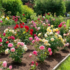 ������ ���� ����� ����� ��������� � ����� ����: 5 ������� ������ ���������� ������