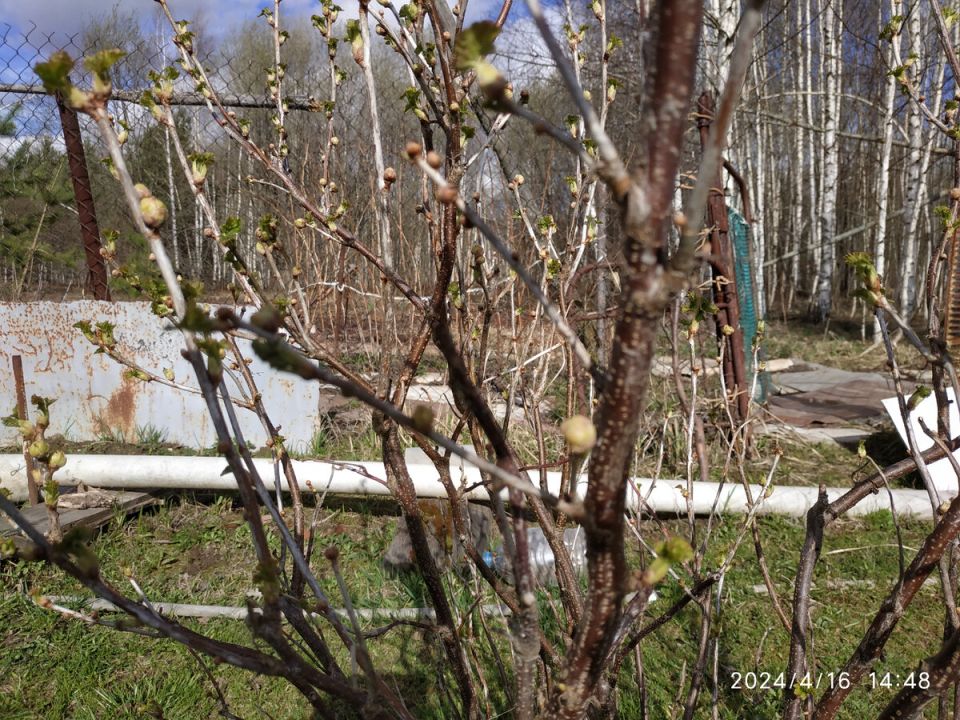 ��� �������� ������ ��������� �� ��������� �����: ����������� ������ � ������