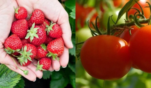 ������� �������� �����������: ��� �� ����� ������ ����� ��������