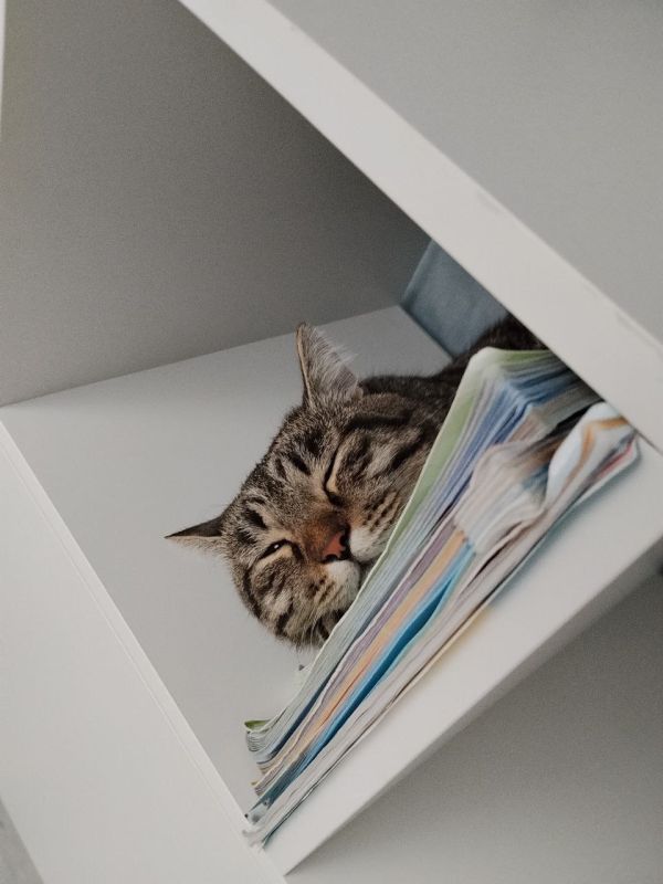 � ������ �� ������. 17 ������� � ��������� ������������ �������� � ������������ ������