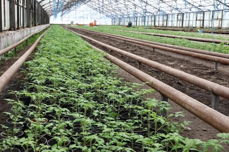 � ����������� ������ ������������ ������� � ��������� ��������� ����� �������� ������� ��������� �����