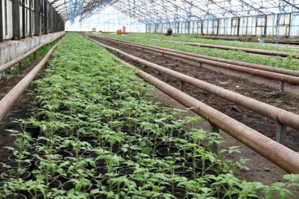 � ����������� ������ ������������ ������� � ��������� ��������� ����� �������� ������� ��������� �����