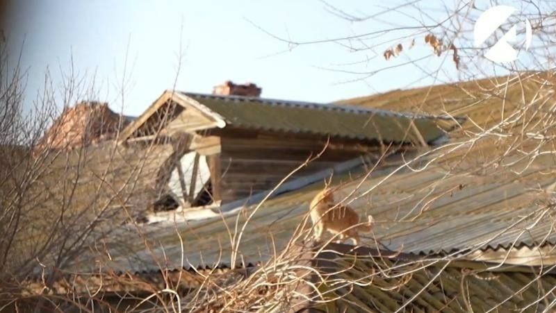 � ��������� ���� � ��������� ��������� �������