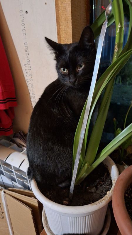 � ������ �� ������. 18 ������� � ��������� ������������ �������� � ������������ ������