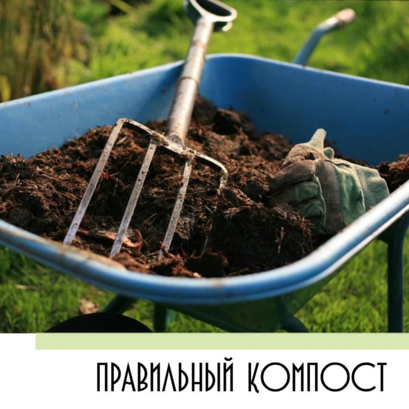 ���� ������, ������� ���������� ������� � �� ��� ����� �����