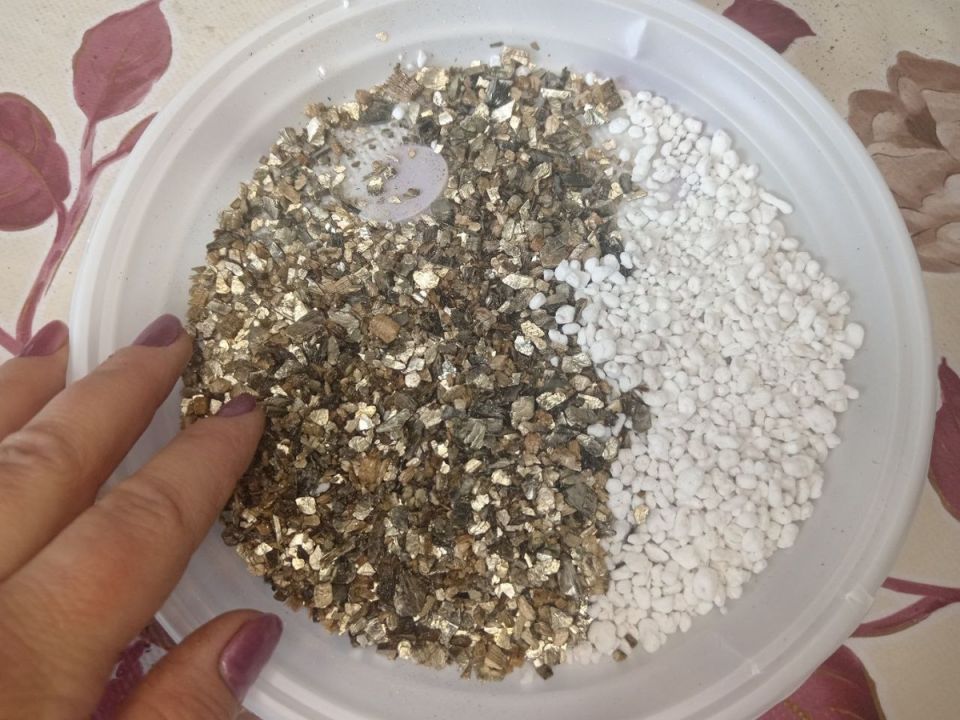 ������������ ��� �������� ��������: ��� ������� � �������� ����� ��� ����� ��������?