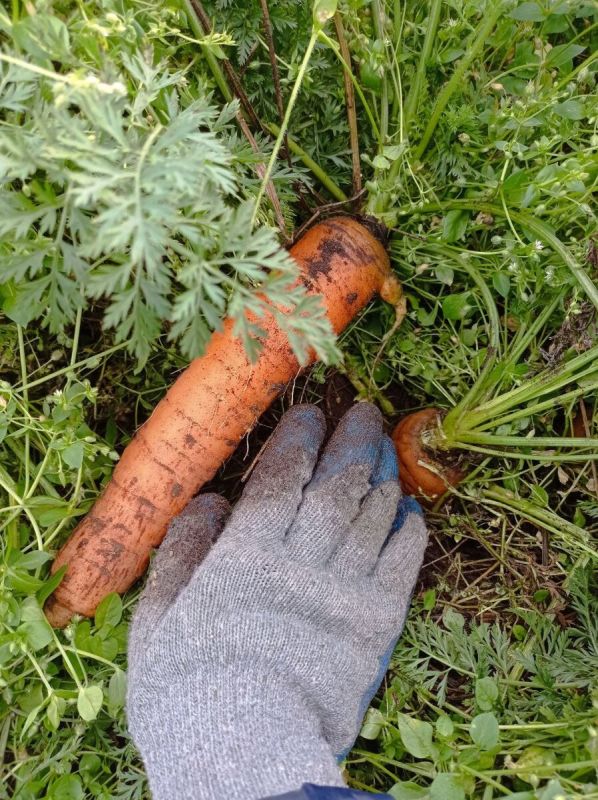 ��������� ����: ��� �������� ���� ������ � ��������� ��������� �������