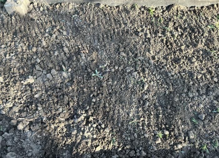 ����������: ������ ������ � ������, ������� ������ ������������