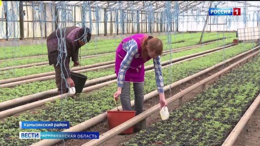 � ������������ ������� ���� ������ ������� ������