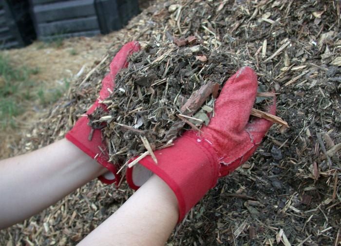 �������������: ��� ������� ����������� ��������� ��� ������ ��������