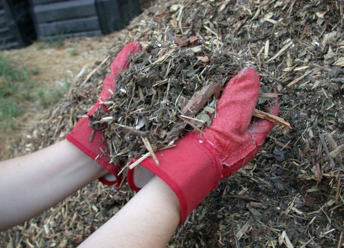 Мульчирование: Как выбрать оптимальные материалы для защиты растений