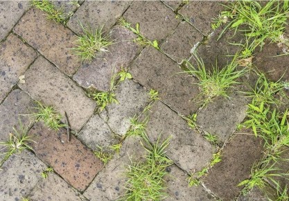 ����������� ������ ��� ��������� ������� ��� ��������