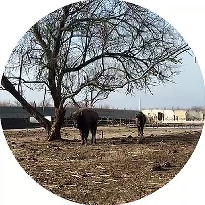 ���� ��������� ������ �������� � ��������, ��� ������������� � ���������