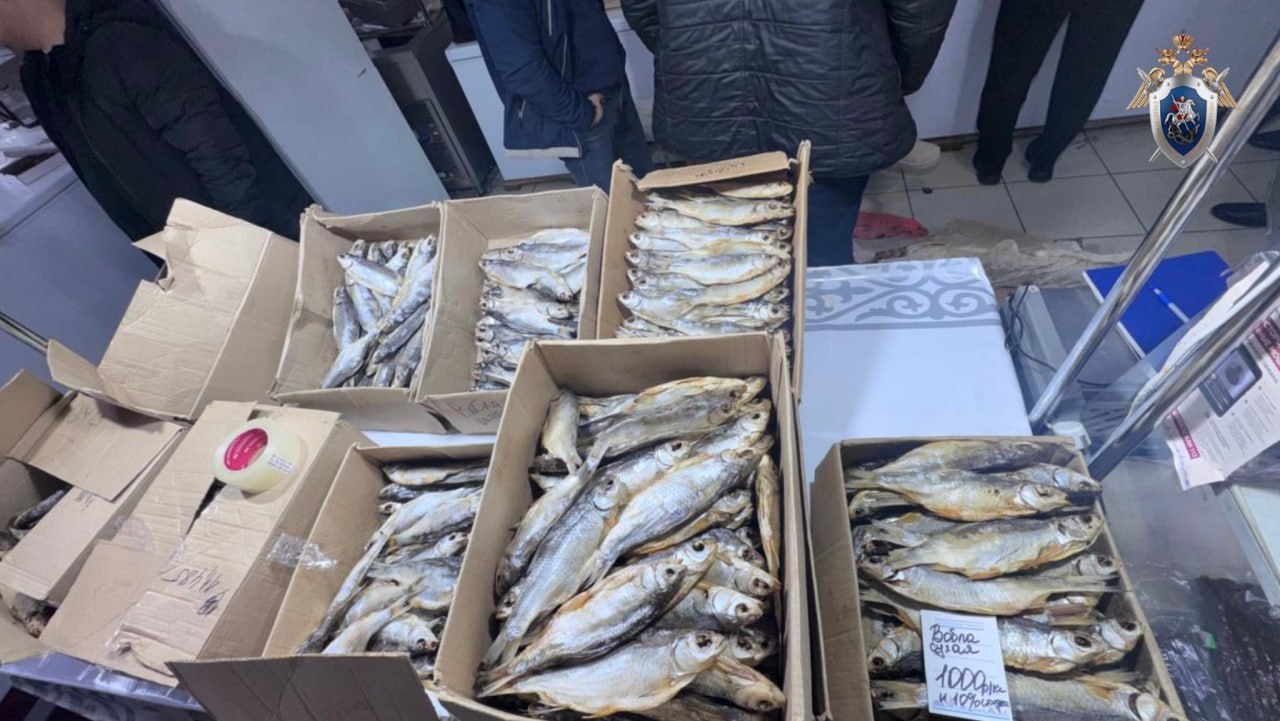 В Астрахани возбуждено уголовное дело по факту хранения в целях сбыта немаркированной рыбной продукции