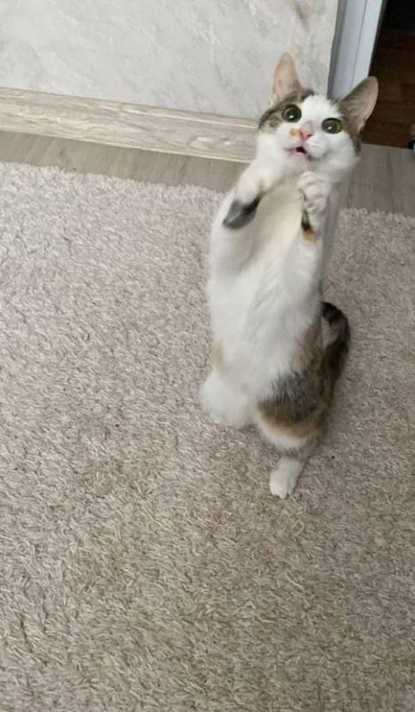 � ������ �� ������. 20 ������� � ��������� ������������ ���������� ����������