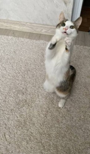 � ������ �� ������. 20 ������� � ��������� ������������ ���������� ����������