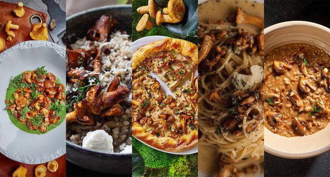 ���� ������������ ������� ���� �� �����