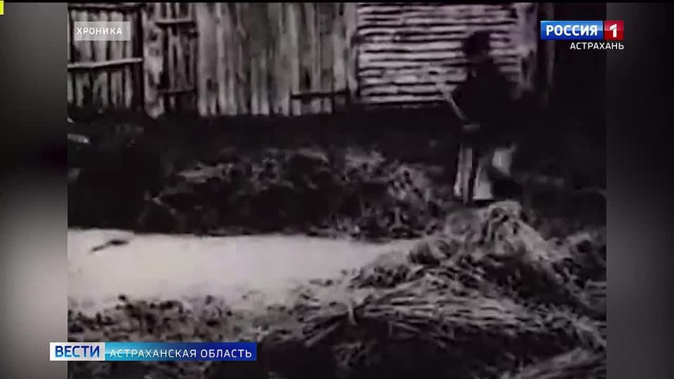 � ��������� ������� �������� � 165-����� ������ ����������� �����