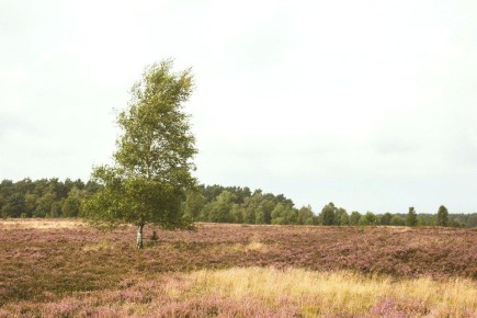 ��� ��������� ��������� ��������� ����� ��� ������� ���� � ��������