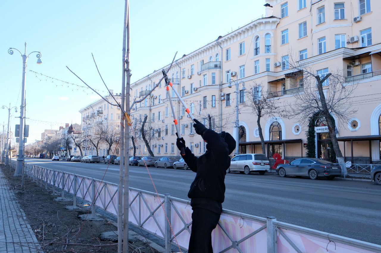 Игорь Редькин: В городе потеплело, и мы начали готовить зелёные зоны к весне Игорь Редькин: В городе потеплело, и мы начали готовить зелёные зоны к весне