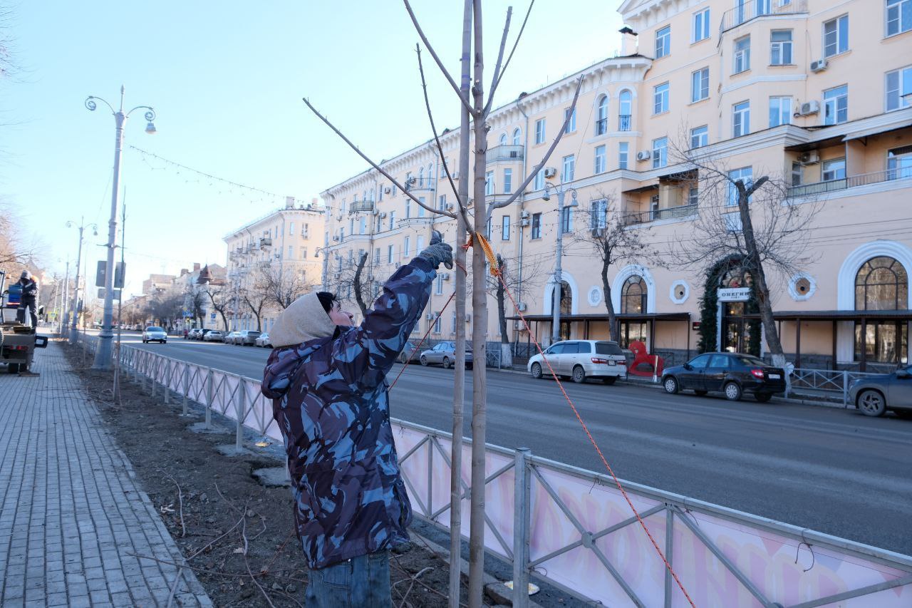 Игорь Редькин: В городе потеплело, и мы начали готовить зелёные зоны к весне
