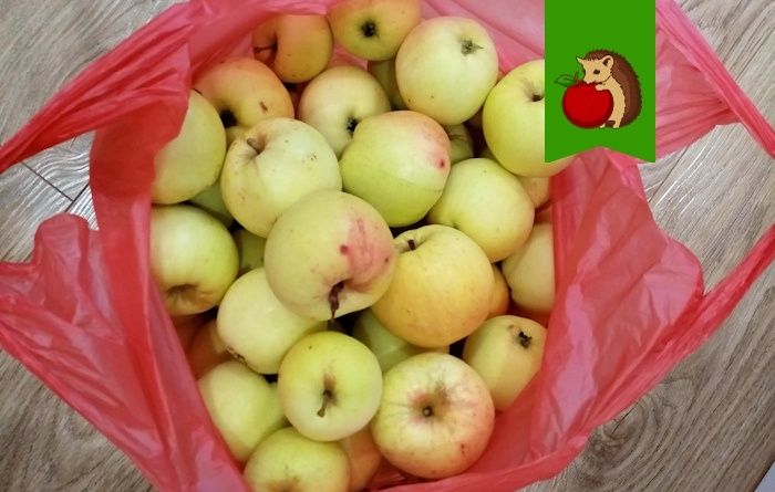 ������� ��������������� �������� �����: ��� �������� ����� ������ ������