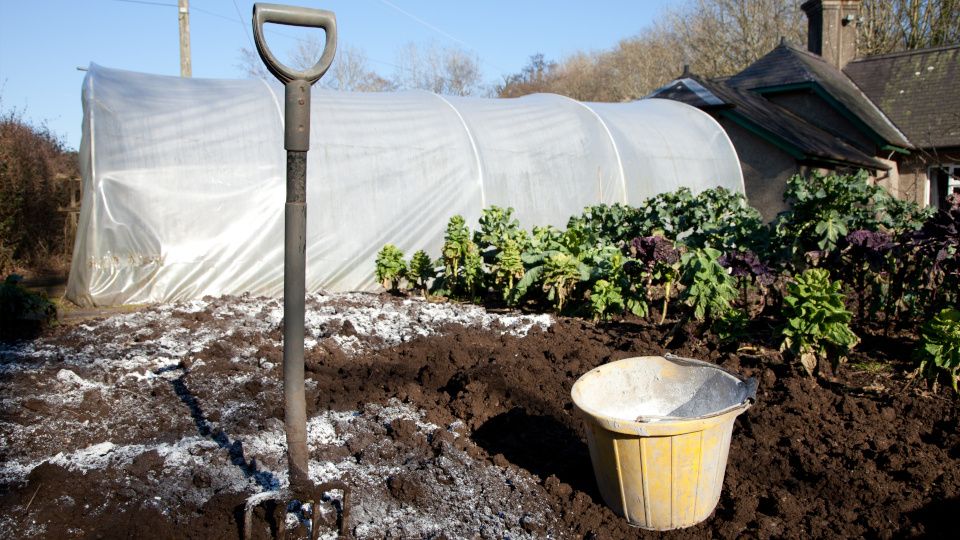 ����������� ����: ��� �������� �������� ����� � �� ������