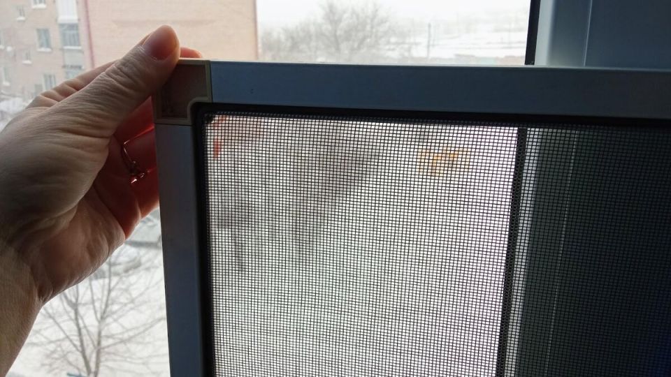 ����� ��������� ��������� ����� �����? �������� ����, �� ������