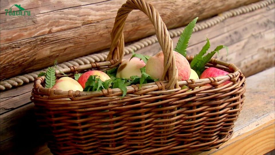 ������ � �����: ������� ����� � ������ �� ����������