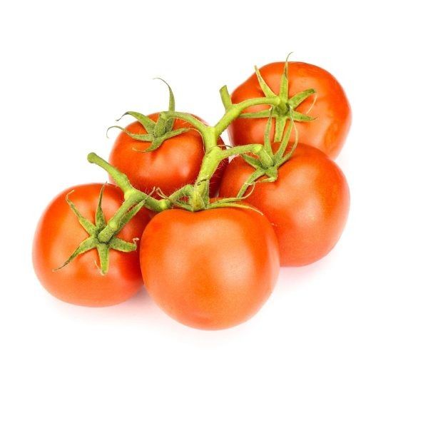 ����� �������: ����������� ����������� ������ �� ����� �������