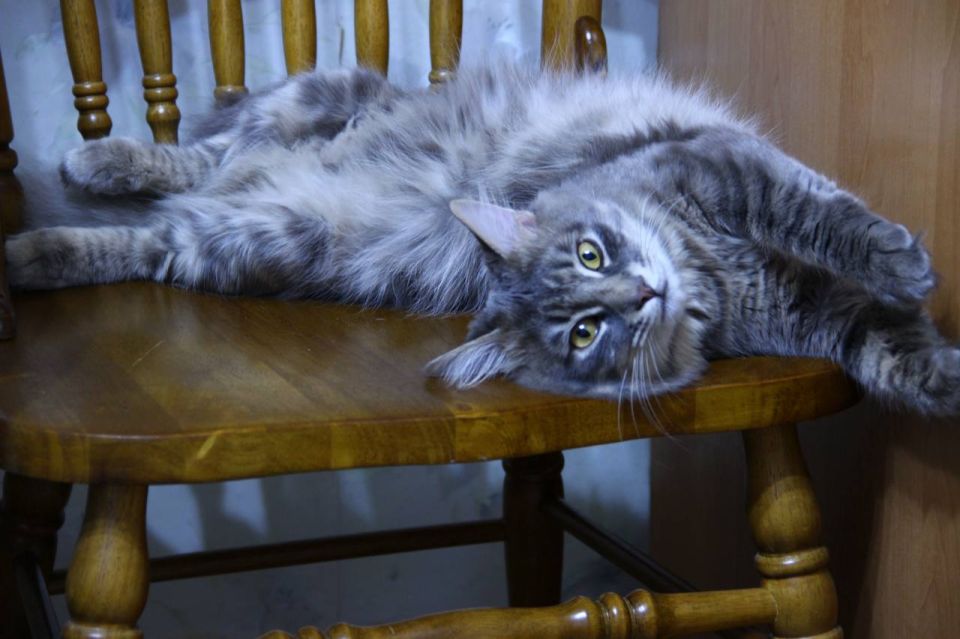 � ������ �� ������. 22 ������� � ������������ ������� ������������ ���������� ����������, ��� ������������ �������