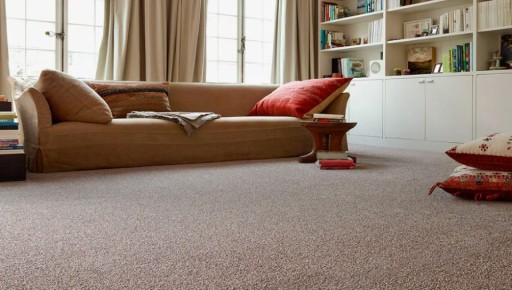 ������ �������� ���� ������� ��������� �����������?