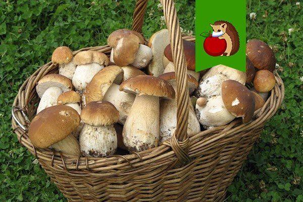 ����� ������� �� ���� ����: ������ � ������� �� ����� � �����