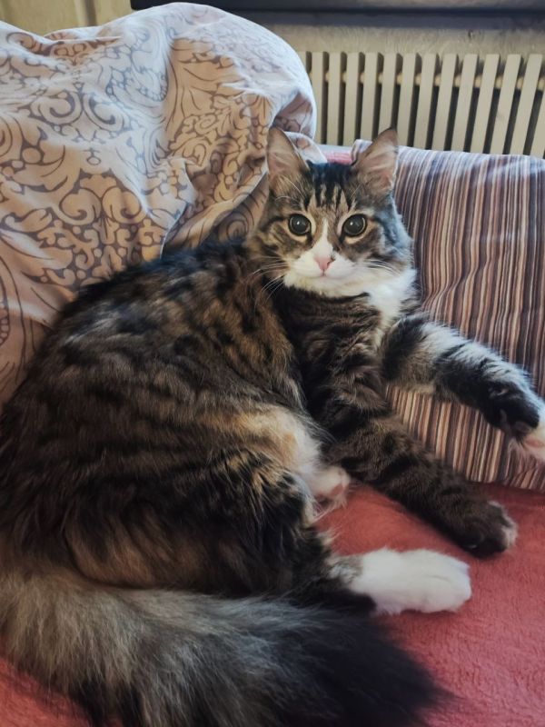 � ������ �� ������. 23 ������� � ��������� ������������ ���������� ����������, ��� �������