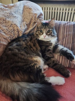 � ������ �� ������. 23 ������� � ��������� ������������ ���������� ����������, ��� �������